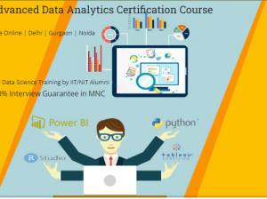 Data Analyst Training Course in Delhi, 110020.
