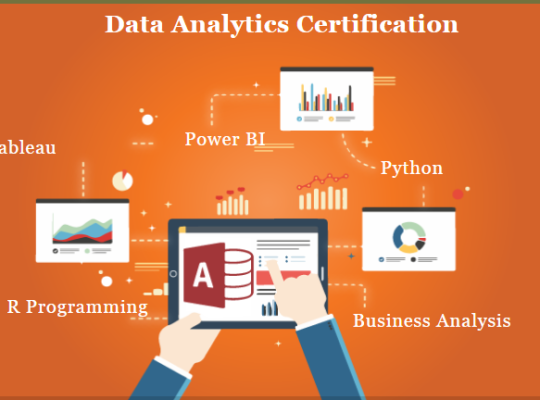 Best Data Analyst Course in Delhi, 110046. Best