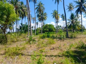 17 acres plot for sale at Pangani