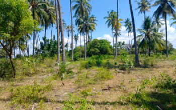 17 acres plot for sale at Pangani