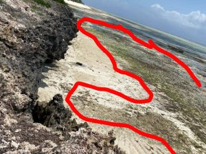 Beach Plot For Sale at Makunduchi Zanzibar